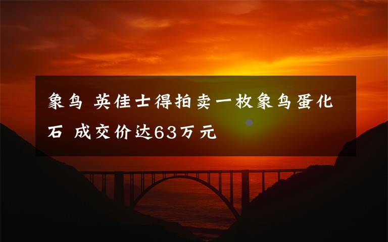 象鳥 英佳士得拍賣一枚象鳥蛋化石 成交價達63萬元