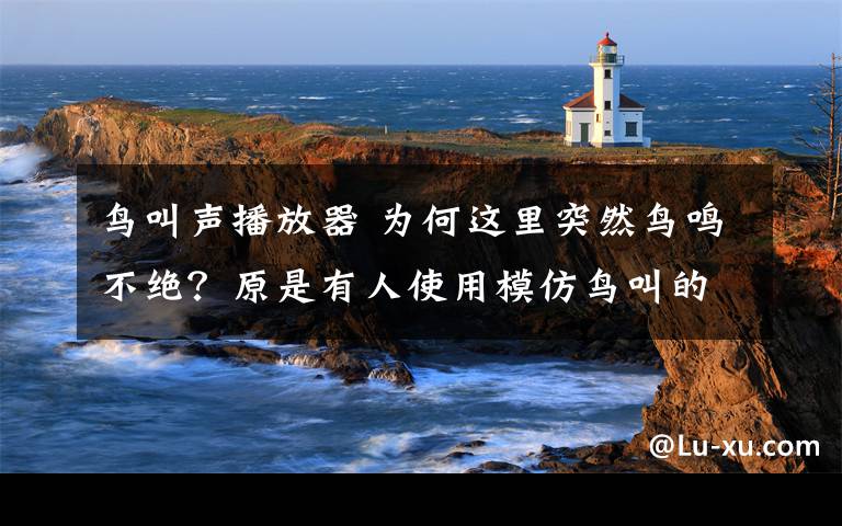 鳥叫聲播放器 為何這里突然鳥鳴不絕？原是有人使用模仿鳥叫的“發(fā)聲器”張網(wǎng)捕鳥