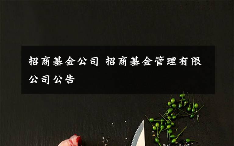 招商基金公司 招商基金管理有限公司公告