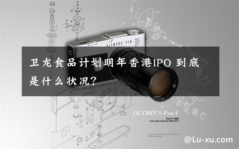 衛(wèi)龍食品計(jì)劃明年香港IPO 到底是什么狀況？