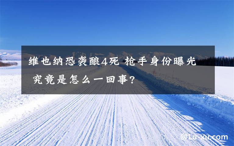 維也納恐襲釀4死 槍手身份曝光 究竟是怎么一回事?