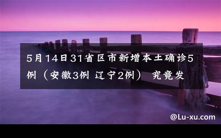 5月14日31省區(qū)市新增本土確診5例（安徽3例 遼寧2例） 究竟發(fā)生了什么?