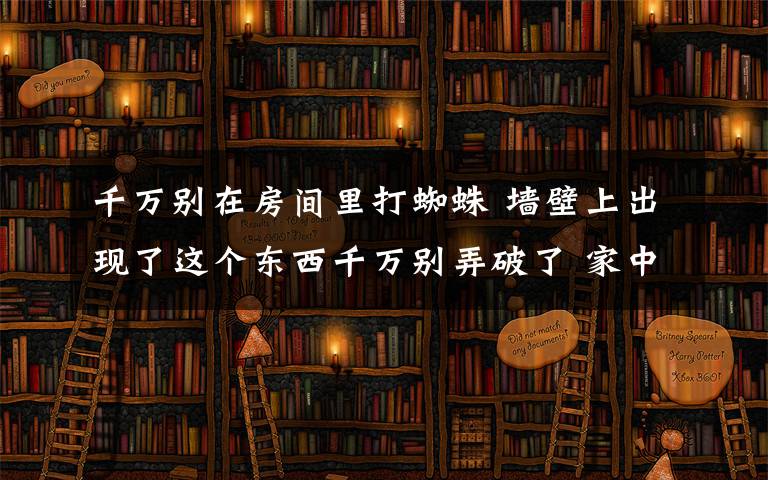 千萬別在房間里打蜘蛛 墻壁上出現(xiàn)了這個(gè)東西千萬別弄破了 家中的蜘蛛巨蛋竟長這樣