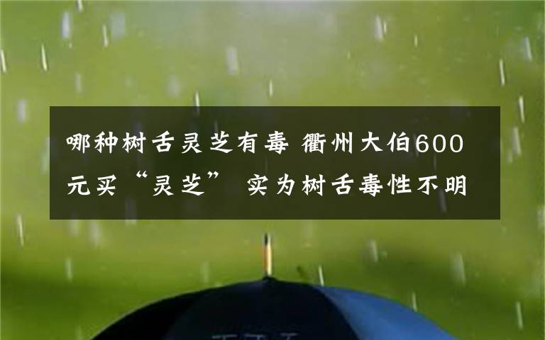 哪種樹舌靈芝有毒 衢州大伯600元買“靈芝” 實(shí)為樹舌毒性不明