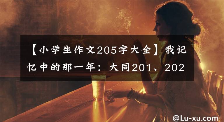 【小學(xué)生作文205字大全】我記憶中的那一年：大同201、202、205，以及黎明游樂園。