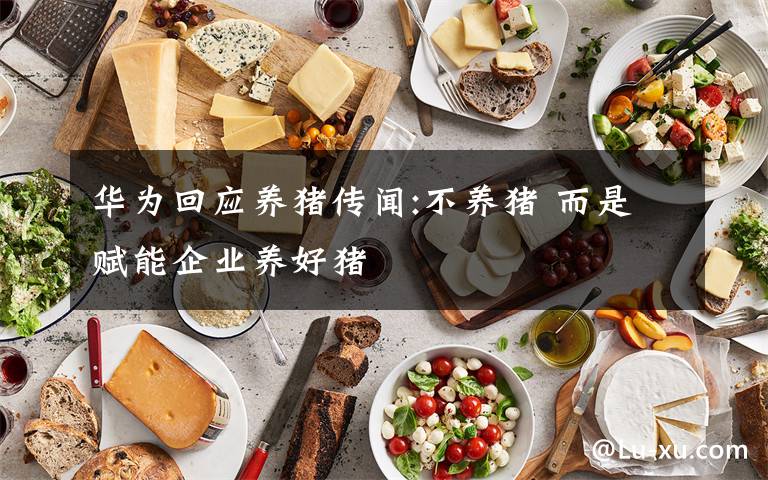 華為回應(yīng)養(yǎng)豬傳聞:不養(yǎng)豬 而是賦能企業(yè)養(yǎng)好豬