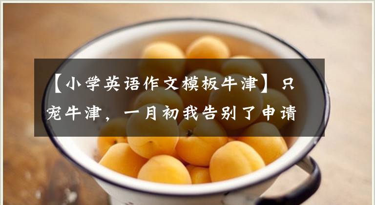 【小學(xué)英語(yǔ)作文模板牛津】只寵牛津，一月初我告別了申請(qǐng)季