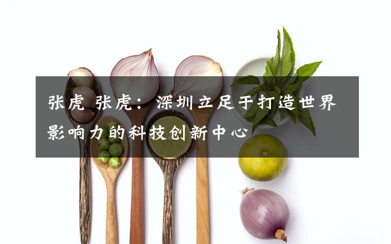 張虎 張虎：深圳立足于打造世界影響力的科技創(chuàng)新中心