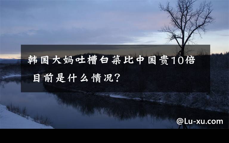 韓國大媽吐槽白菜比中國貴10倍 目前是什么情況？