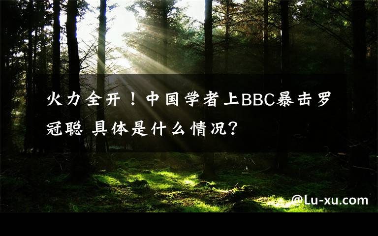 火力全開！中國學者上BBC暴擊羅冠聰 具體是什么情況？