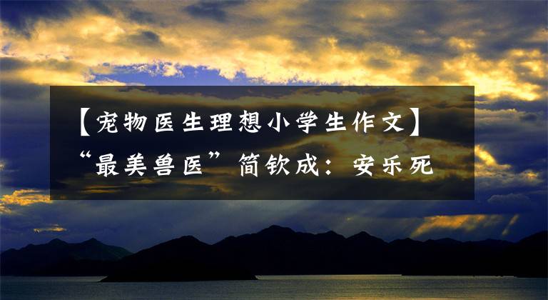 【寵物醫(yī)生理想小學生作文】“最美獸醫(yī)”簡欽成：安樂死700多只流浪動物，最后一針留給自己。