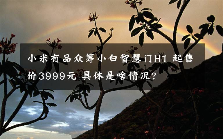 小米有品眾籌小白智慧門H1 起售價3999元 具體是啥情況?