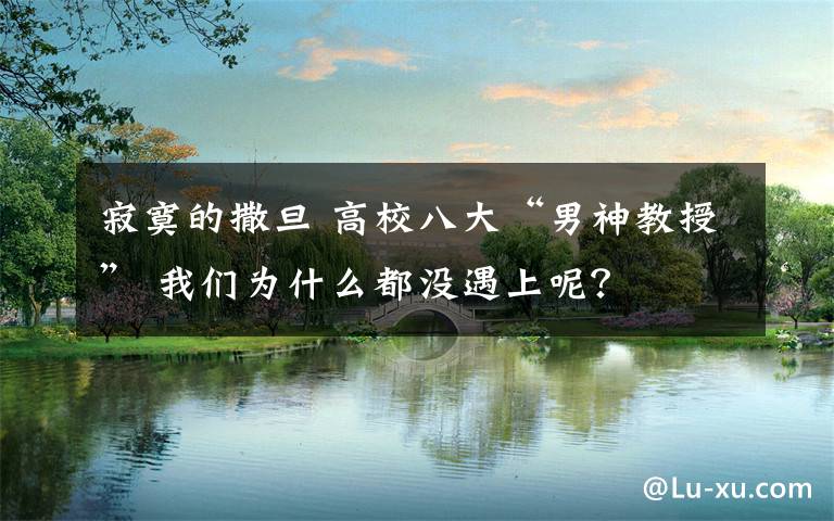 寂寞的撒旦 高校八大“男神教授” 我們?yōu)槭裁炊紱]遇上呢？