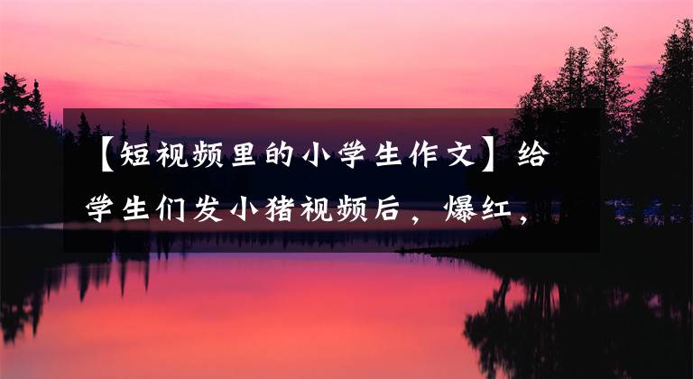 【短視頻里的小學(xué)生作文】給學(xué)生們發(fā)小豬視頻后，爆紅，支教后老師有點(diǎn)擔(dān)心。