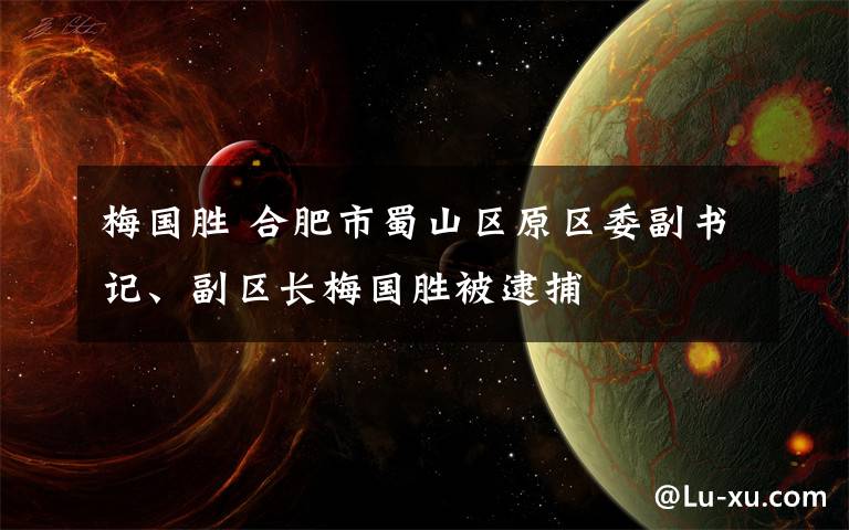 梅國勝 合肥市蜀山區(qū)原區(qū)委副書記、副區(qū)長梅國勝被逮捕