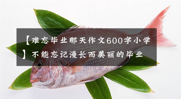 【難忘畢業(yè)那天作文600字小學】不能忘記漫長而美麗的畢業(yè)季