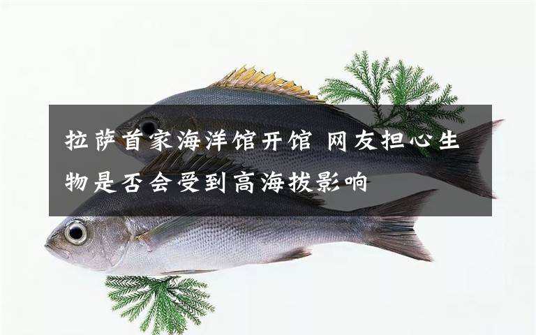 拉薩首家海洋館開館 網(wǎng)友擔心生物是否會受到高海拔影響