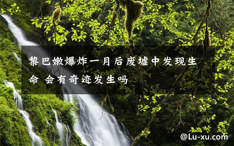 黎巴嫩爆炸一月后廢墟中發(fā)現(xiàn)生命 會(huì)有奇跡發(fā)生嗎