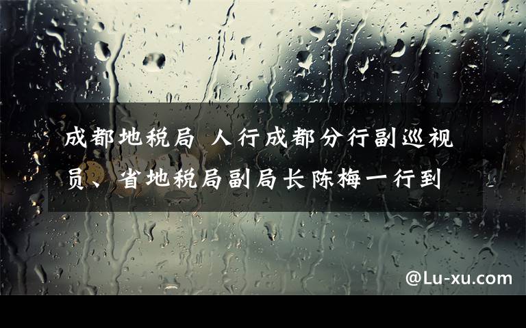 成都地稅局 人行成都分行副巡視員、省地稅局副局長陳梅一行到內(nèi)江調(diào)研