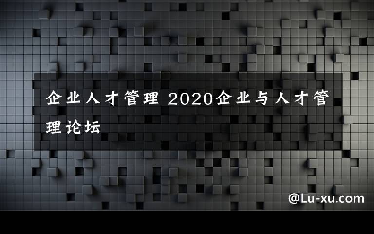 企業(yè)人才管理 2020企業(yè)與人才管理論壇