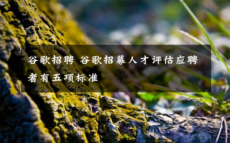 谷歌招聘 谷歌招募人才評(píng)估應(yīng)聘者有五項(xiàng)標(biāo)準(zhǔn)