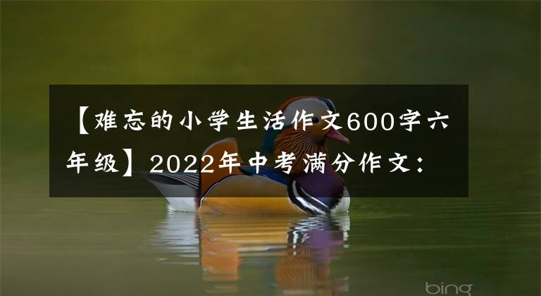 【難忘的小學生活作文600字六年級】2022年中考滿分作文：那個_ _ _日(范文4篇)