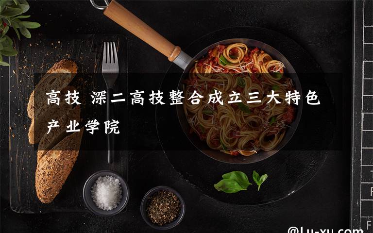 高技 深二高技整合成立三大特色產(chǎn)業(yè)學(xué)院