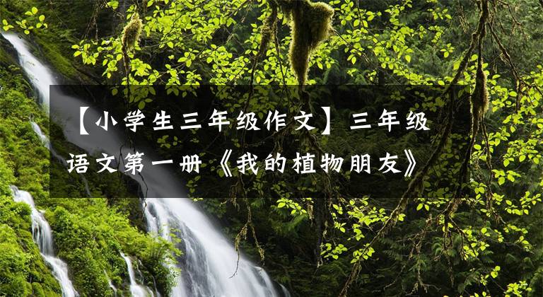 【小學(xué)生三年級作文】三年級語文第一冊《我的植物朋友》寫作方法及范文鑒賞