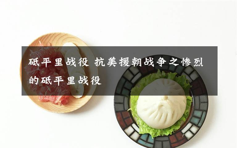 砥平里戰(zhàn)役 抗美援朝戰(zhàn)爭(zhēng)之慘烈的砥平里戰(zhàn)役