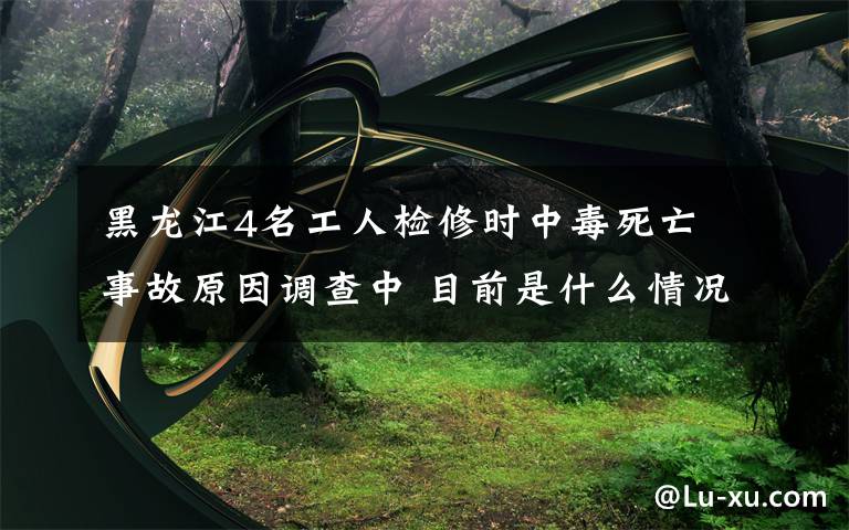 黑龍江4名工人檢修時(shí)中毒死亡 事故原因調(diào)查中 目前是什么情況？