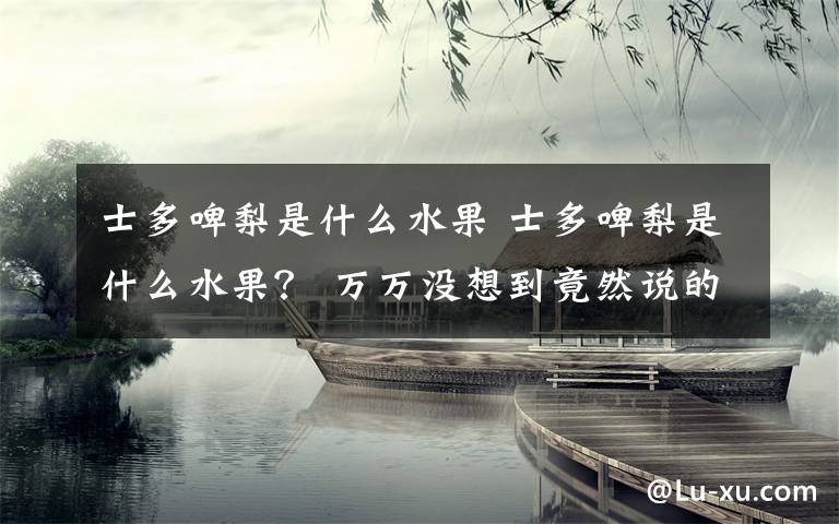 士多啤梨是什么水果 士多啤梨是什么水果？ 萬萬沒想到竟然說的是它