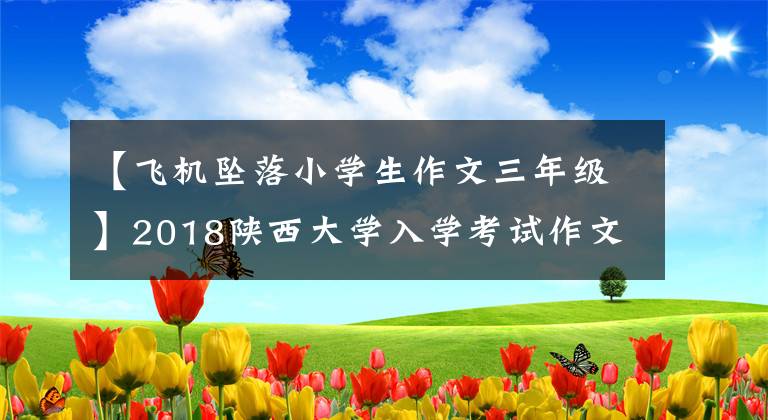 【飛機(jī)墜落小學(xué)生作文三年級(jí)】2018陜西大學(xué)入學(xué)考試作文：《飛機(jī)與彈痕》！