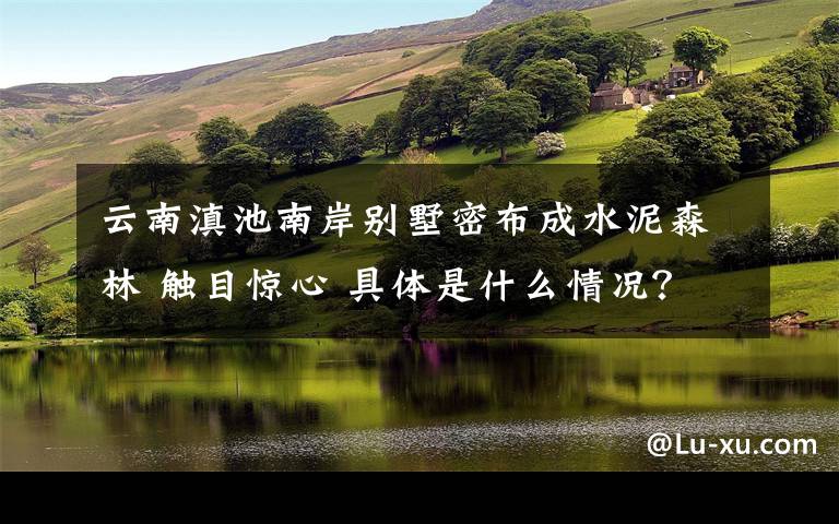 云南滇池南岸別墅密布成水泥森林 觸目驚心 具體是什么情況？