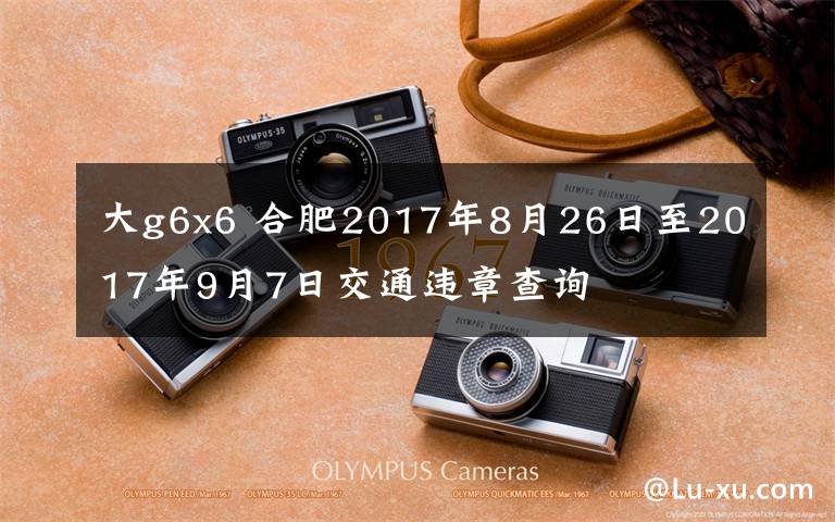 大g6x6 合肥2017年8月26日至2017年9月7日交通違章查詢