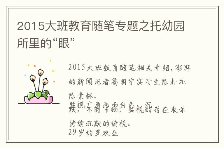 2015大班教育隨筆專題之托幼園所里的“眼”