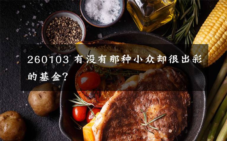 260103 有沒有那種小眾卻很出彩的基金？