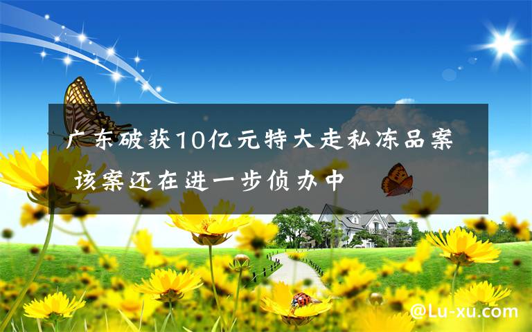 廣東破獲10億元特大走私凍品案 該案還在進(jìn)一步偵辦中