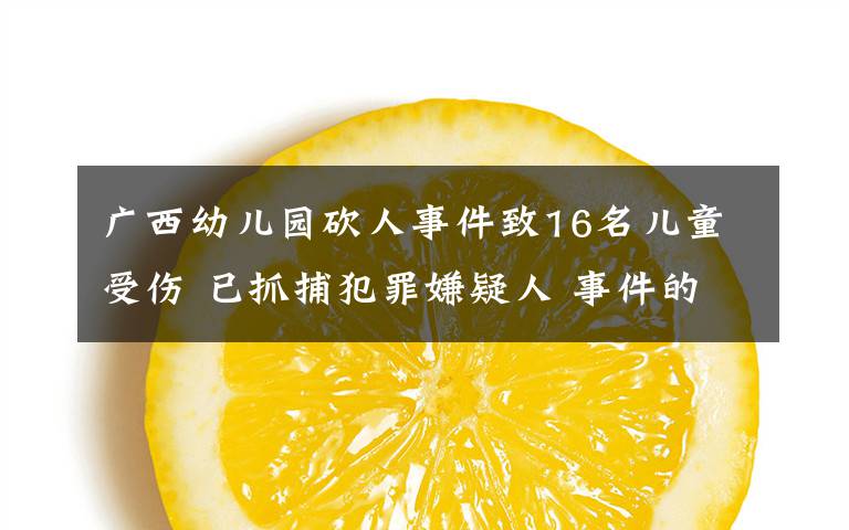 廣西幼兒園砍人事件致16名兒童受傷 已抓捕犯罪嫌疑人 事件的真相是什么？