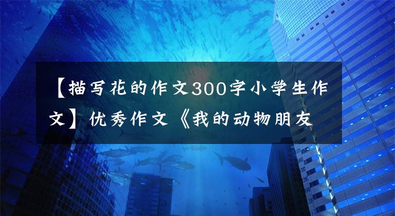 【描寫花的作文300字小學(xué)生作文】優(yōu)秀作文《我的動(dòng)物朋友—來?！?《滾來滾去的土豆》 《愛如柚花》