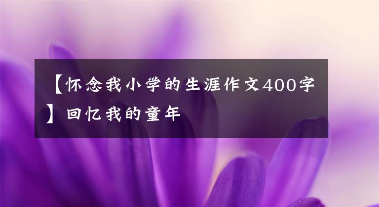 【懷念我小學(xué)的生涯作文400字】回憶我的童年