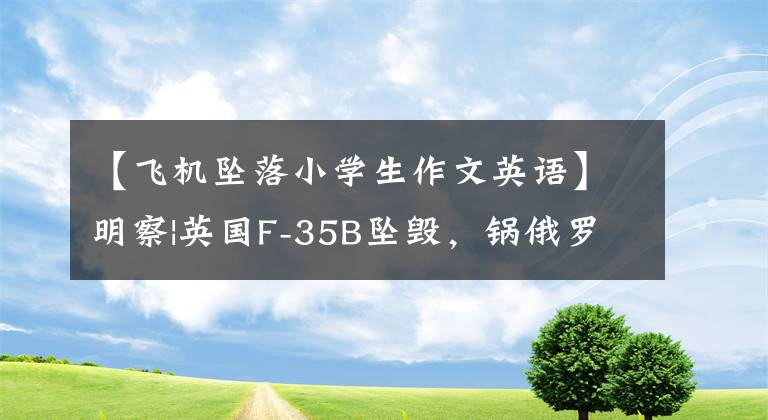 【飛機(jī)墜落小學(xué)生作文英語(yǔ)】明察|英國(guó)F-35B墜毀，鍋俄羅斯戰(zhàn)斗機(jī)也引用了“中國(guó)媒體”