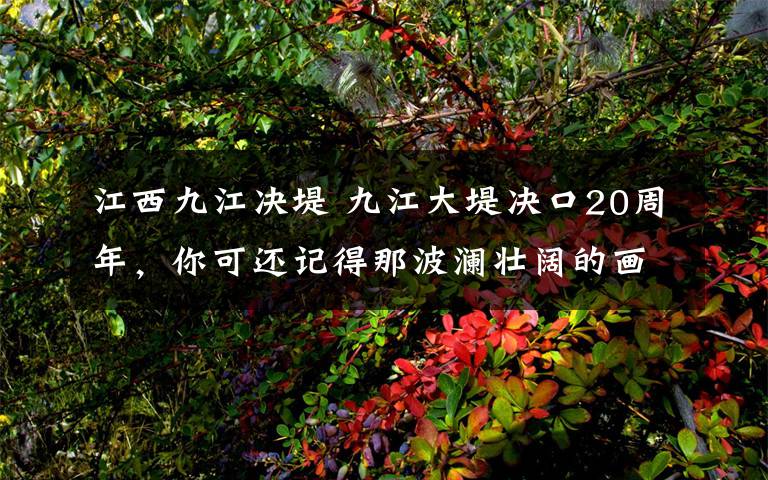 江西九江決堤 九江大堤決口20周年，你可還記得那波瀾壯闊的畫面滿身泥巴的兵？