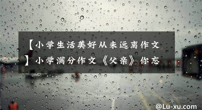 【小學(xué)生活美好從未遠(yuǎn)離作文】小學(xué)滿(mǎn)分作文《父親》你忘記了世界，但只有我沒(méi)有忘記