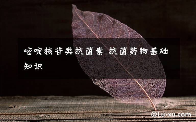 嘧啶核苷類抗菌素 抗菌藥物基礎(chǔ)知識