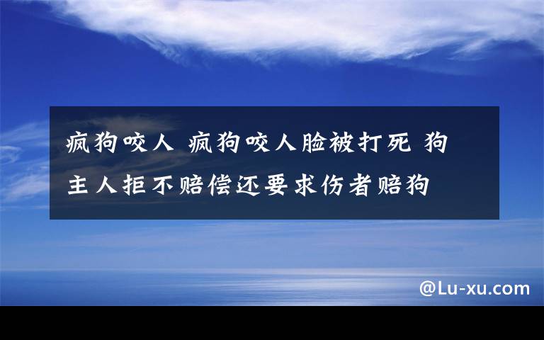 瘋狗咬人 瘋狗咬人臉被打死 狗主人拒不賠償還要求傷者賠狗