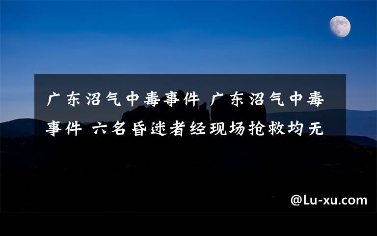 廣東沼氣中毒事件 廣東沼氣中毒事件 六名昏迷者經現場搶救均無效死亡