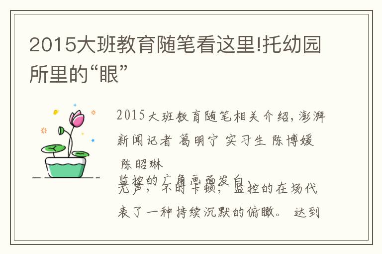 2015大班教育隨筆看這里!托幼園所里的“眼”