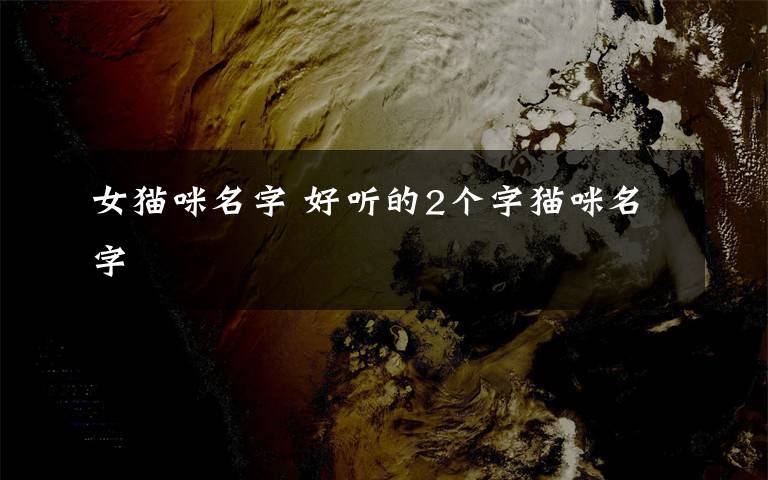 女貓咪名字 好聽(tīng)的2個(gè)字貓咪名字