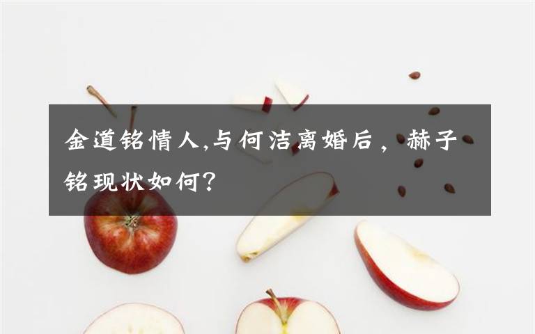 金道銘情人,與何潔離婚后，赫子銘現(xiàn)狀如何？