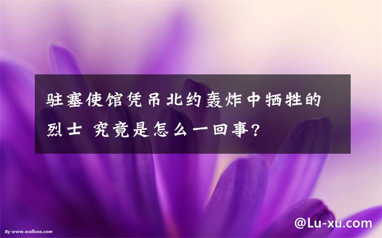 駐塞使館憑吊北約轟炸中犧牲的烈士 究竟是怎么一回事?